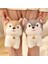 Childrenworld Peluş Husky Oyuncak Sevimli Ifade Süper Sevimli Kabarık Husky Köpek Bebek (Yurt Dışından) 4