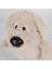 25CM Konuşan Ben Peluş Bebek Fgteev Sevimli Köpek Yavrusu Peluş Oyuncak Doldurulmuş Hayvan Peluş Çocuklar Için Doğum Günü Leri (Yurt Dışından) 5