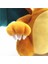Inç Peluş Pokemon Charizard Dolması Bebek Oyuncak Çocuklar Doğum Günü Si Koleksiyon (Yurt Dışından) 5