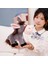 Çocuklara Doldurulmuş Hayvan Oyuncak Karikatür Hayvan Ev Dekorasyonu Yumuşak Oyuncak Eşek Peluş Oyuncak Donkeyplush Bebek Eşek Peluş Kolye Sincap Doldurulmuş Oyuncak (Yurt Dışından) 3