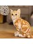 Kedi Dolması Bebek Gerçekçi Karikatür Kedi Dolması Oyuncak Yatak Odası Dekoru (Yurt Dışından) 3