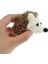 1 Adet Sevimli Peluş Kirpi 7cm Küçük Kolye Mini Yumuşak Doldurulmuş Hayvan Oyuncak Doldurulmuş Oyuncaklar Dere (Yurt Dışından) 3
