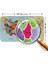 Eğitici ve Öğretici Dünya ve Türkiye Haritası Çocuk Odası Duvar STICKER-60X105-3882 3