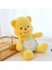 Sarı Ayı Tereyağı Ayı Tereyağı Ayı Peluş Bebek Oyuncak Doğum Günleri Için Hediye (Yurt Dışından) 5
