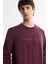 Erkek Bordo Bisiklet Yaka Pamuklu Baskılı Elastan Sweatshirt A42Y1267 2