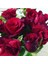 Tüplü Dikensiz Kokulu Kırmızı Red Love Gül Fidanı 1