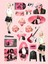 Major Selection Rose Apt Temalı Sticker Set Çıkartma - Ajanda, Günlük, Planlayıcı, Bullet Journal , Scrapbook 1