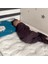 Bedcraft Full Ortopedik Sünger Bebek Çocuk Yatağı 3
