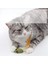 Kedi Kedi Nipeği Oyuncakları, 8 Adet Kedi Nipili Kedi Tüyü Oyuncakları, Sindirime Yardımcı Olun (Yurt Dışından) 4