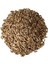 Kenger (Yabani Enginar) Tohumu 250 gr 1