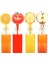6 Adet 230 ML Detox Meyve Suları Smoothie'ler Diyet Sporcu Içeceği Pet Şişesi Kilitli Kapak(Şişe) 250 4