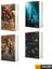 Rehber Kitap Seti (4 Kitap) - Stephen P. Kershaw 1