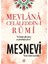 Mesnevi - Mevlana Celaleddin-i Rumi 1