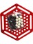 Abolone 1