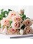 Tüplü Yediveren Cream White Krem Beyazı Kokulu Gül Fidanı 1