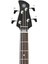 Trbx174 Exotic Wood Trans Black Bas Gitar 3