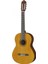 C40 Klasik Gitar 1