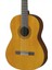 C40 Klasik Gitar 2