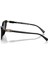 MK 2195U 30058G 56 Harbour Island Kadın Cat Eye Siyah Kemik Güneş Gözlüğü 3
