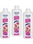 Genel Temizlik 3x1000 Ml 299 1