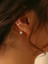 Kelebek Sallantılı Deliksiz Ear Cuff Küpe Deliksiz Kıkırdak Küpe 1