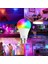 Prize Tak Çalıştır Kumandalı, 16 Farklı Işık Renkli, Çakar Modlu Akıllı LED Ampul Kaliteli Rgb Ampul 2