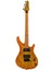 ZX10 Elektro Gitar 1