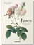 Redoute Roses - Pierre Joseph Redoute 1