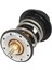 Termostat - 117253-TOPRAN - Volkswagen Touareg Passat3.6 Fsi 03 ve Sonrası Uyumlu 1