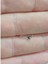 Deliksiz Sıkıştırma 925 Ayar Gümüş Targus Helix Kıkırdak Fake Piercing, Hızma 1