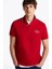Left Chest Graphıc Reg Polo 3