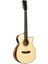 Carneville CD801 Akustik Gitar 1