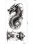 Ejderha Dövmesi Unisex Geçici Dövme Dragon Tattoo 2