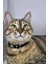 Ayarlanabilir - Sesli Zilli- Kedi Tasması (12 Farklı Renk Seçeneği) Kedi Boyun Tasması 1