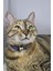 Ayarlanabilir - Sesli Zilli- Kedi Tasması (12 Farklı Renk Seçeneği) Kedi Boyun Tasması 1
