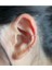 Deliksiz Kıkırdak Küpe, Ear Cuff Deliksiz Küpe 1