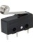 Micro Switch Iğne Bacak Makaralı (IC-169) (4172) 1