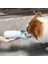 Xopıurıfı Su Bardaklarına Eşlik Eden Köpek, Açık Havada Tnabilir Seyahat, Katlanabilir Su Şişeleri, Çeşmeler, Evcil Hayvan Malzemeleri, Köpek Gezdiricileri, Evcil Hayvan Malzemeleri (Yurt Dışından) 2