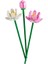 Nessiworld 40647 Lego® Iconic Botanical Collection Lotus Çiçekleri 220 Parça +8 Yaş 2