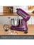 Pro Artisan Zaman Ayarlı Tartılı Mutfak Şefi Royal Berry 1600 W 5 Litre 5
