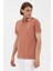 Polo Yaka Regular Fit Erkek T-Shirt 1573851 2