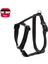 Basic Göğüs Tasma M 45-70cm Siyah 1