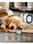 Kedi Köpek Kuaför Traş ve Bakım Seti - Vakumlu 3