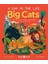 Big Cats A Day In The Life 1