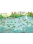 Wipe-Clean Woodland Activities 3
