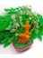 Aventurin Doğal Taş Ağaç (15 cm ) 2