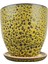 Solina Hardal Sarı Çift Sırlı Iç ve Dış Mekan Kullanımlı Toprak Terrakota Tabaklı Saksı 1