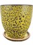 Solina Hardal Sarı Çift Sırlı Iç ve Dış Mekan Kullanımlı Toprak Terrakota Tabaklı Saksı 2