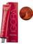 Igora Royal 8-77 Açık Kumral Yoğun Bakır 60ML 1