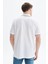 Erkek Regular Fit Basic % 100 Pamuk Pike Polo Yaka Tişört Y29374353802 5
